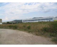 Capannone industriale in vendita a RIOTORTO - Piombino 4500 mq  Rif: 152048 - Immagine 2