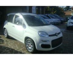 Fiat Panda 1.2  EASY NUOVA UFFICIALE FIAT - Immagine 1