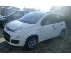 Fiat Panda 1.2  EASY NUOVA UFFICIALE FIAT - Immagine 2