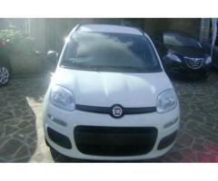 Fiat Panda 1.2  EASY NUOVA UFFICIALE FIAT - Immagine 4