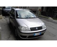 FIAT Punto 1.3 Multijet 16V 5 porte Actual rif. 7162255 - Immagine 7