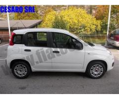 FIAT Panda 1.3 MJT 95 CV S&S Easy rif. 7084153 - Immagine 2