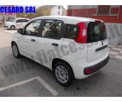 FIAT Panda 1.3 MJT 95 CV S&S Easy rif. 7084153 - Immagine 3