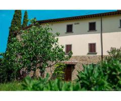 Affitto Casa indipendente a Arezzo - Immagine 2