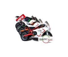 Minimoto GP Trofeo 50 cc - Immagine 1