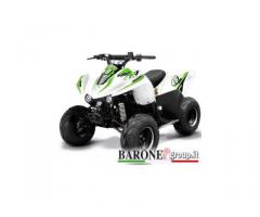 New Quad Bamboo 50cc - Immagine 1