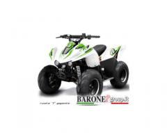 New Quad Lem Big foot 110cc - Immagine 2