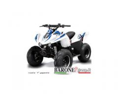 New Quad Lem Big foot 110cc - Immagine 3