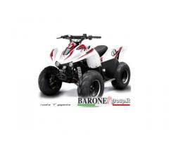 New Quad Lem Big foot 110cc - Immagine 5