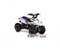 Quad Bamboo 110cc R6 - Immagine 1