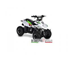 Quad Bamboo 110cc R6 - Immagine 2