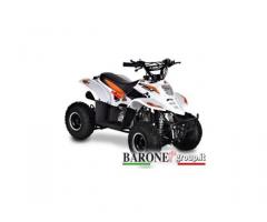 Quad Bamboo 110cc R6 - Immagine 3