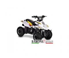 Quad Bamboo 110cc R6 - Immagine 4