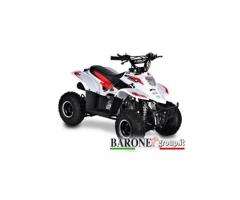 Quad Bamboo 110cc R6 - Immagine 6