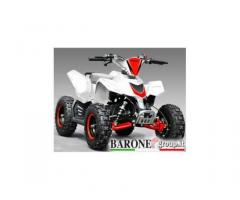 Quad Mini SHARPER R6 E-Start - Immagine 2