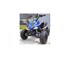 QUAD MONSTER R7 - Immagine 4