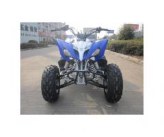 QUAD PANTERA ATV 250CC R10 - Immagine 2