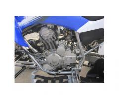 QUAD PANTERA ATV 250CC R10 - Immagine 4