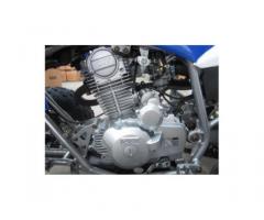 QUAD PANTERA ATV 250CC R10 - Immagine 5