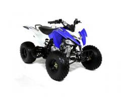 QUAD PANTERA ATV 250CC R10 - Immagine 8