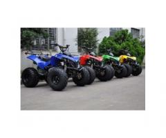 Quad Warrior Racing 125cc R8 - Immagine 2