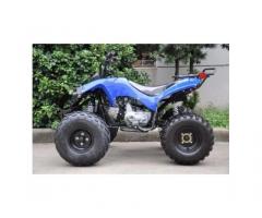 Quad Warrior Racing 125cc R8 - Immagine 4