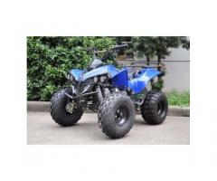 Quad Warrior Racing 125cc R8 - Immagine 5