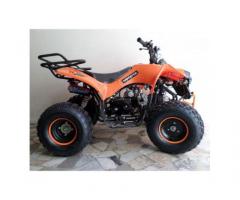 Quad Warrior Racing 125cc R8 - Immagine 6