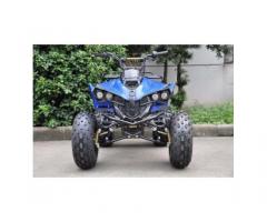 Quad Warrior Racing 125cc R8 - Immagine 7