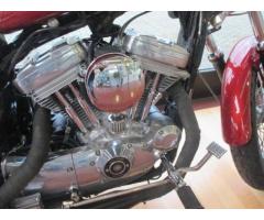 MOTOS-BIKES Harley Davidson XLH 883 (CARBURATORE) - Immagine 4