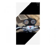 Ducati monster 600 - Immagine 2