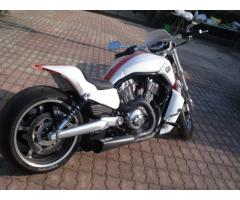 Harley Davidson V-Rod Muscle 1250cc Special Custom Unica - Immagine 4