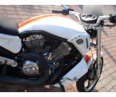 Harley Davidson V-Rod Muscle 1250cc Special Custom Unica - Immagine 6