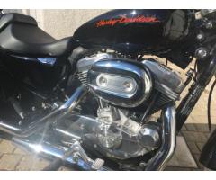 Vendo Harley 883 Superlow - Immagine 2