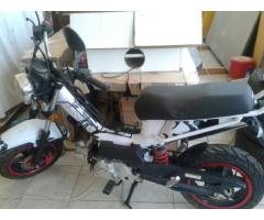 Vendo scooter 50 c.c - Immagine 1