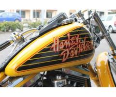 ABARTH 500 Harley Davidson 1340 Softail CERCHI PIENI BORSA - Immagine 7