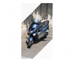 Aprilia Leonardo 250 - 2002 - Immagine 2