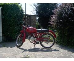 moto guzzi cardellino 73 cc 73 immatricolata 1961 - Immagine 1