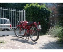 moto guzzi cardellino 73 cc 73 immatricolata 1961 - Immagine 3