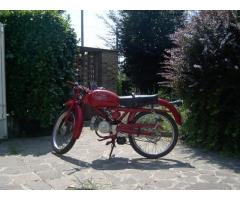 moto guzzi cardellino 73 cc 73 immatricolata 1961