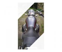 Moto Guzzi California - 2004 - Immagine 2