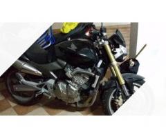 Honda Hornet - 2006 - Immagine 1