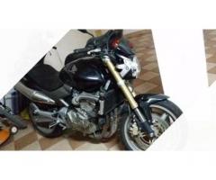 Honda Hornet - 2006 - Immagine 2