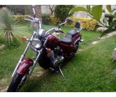 Honda shadow - Immagine 1