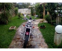 Honda shadow - Immagine 3