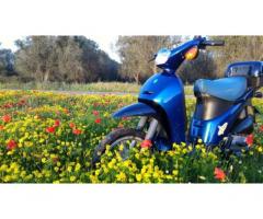 Piaggio Free 50 - Immagine 1