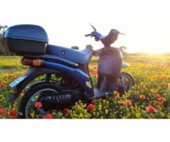 Piaggio Free 50 - Immagine 5