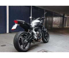 Yamaha MT07 2014 - Immagine 1