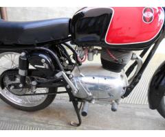 GILERA 175 EXTRA - Immagine 5