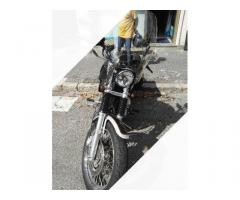 Harley-Davidson Sportster 1200 - 2005 - Immagine 2